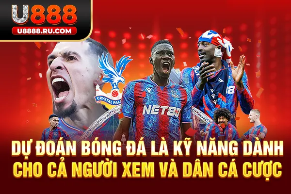 Dự đoán bóng đá là kỹ năng dành cho cả người xem và dân cá cược